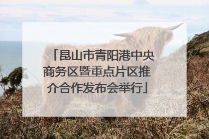 昆山市青阳港中央商务区暨重点片区推介合作发布会举行