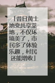 昔日黄土地变共享菜地，不仅环境美了，市民多了体验乐趣，村民还能增收