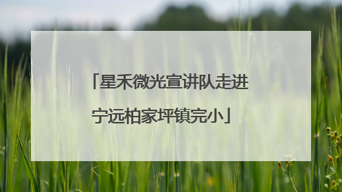 星禾微光宣讲队走进宁远柏家坪镇完小