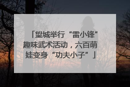 望城举行“雷小锋”趣味武术活动，六百萌娃变身“功夫小子”