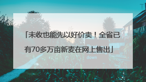 未收也能先以好价卖！全省已有70多万亩新麦在网上售出