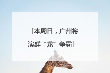 本周日，广州将演群“龙”争霸