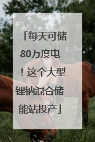 每天可储80万度电！这个大型锂钠混合储能站投产