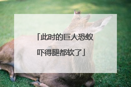 此时的巨人恐蚁吓得腿都软了