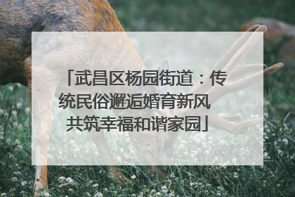 武昌区杨园街道：传统民俗邂逅婚育新风 共筑幸福和谐家园