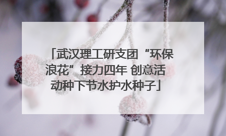 武汉理工研支团“环保浪花”接力四年 创意活动种下节水护水种子