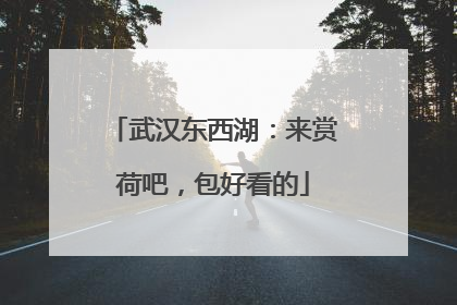 武汉东西湖：来赏荷吧，包好看的