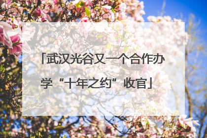 武汉光谷又一个合作办学“十年之约”收官