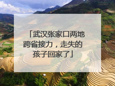 武汉张家口两地跨省接力，走失的孩子回家了