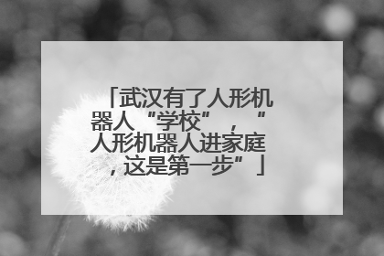 武汉有了人形机器人“学校”，“人形机器人进家庭，这是第一步”