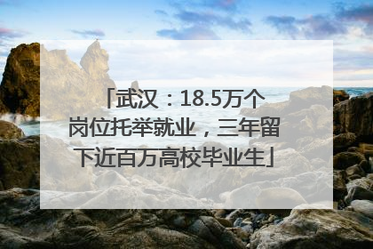 武汉：18.5万个岗位托举就业，三年留下近百万高校毕业生