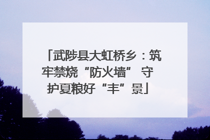 武陟县大虹桥乡：筑牢禁烧“防火墙” 守护夏粮好“丰”景