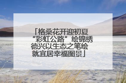格桑花开迎初夏 “彩虹公路”绘锦绣 德兴以生态之笔绘就宜居幸福图景