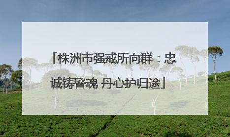 株洲市强戒所向群：忠诚铸警魂 丹心护归途