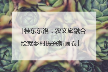 桂东东洛：农文旅融合绘就乡村振兴新画卷