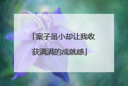 案子虽小却让我收获满满的成就感