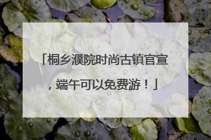桐乡濮院时尚古镇官宣，端午可以免费游！