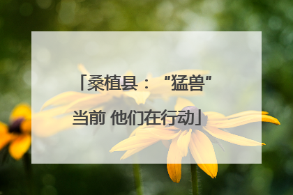 桑植县：“猛兽”当前 他们在行动