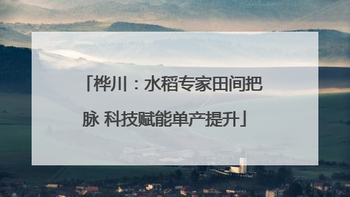 桦川：水稻专家田间把脉 科技赋能单产提升
