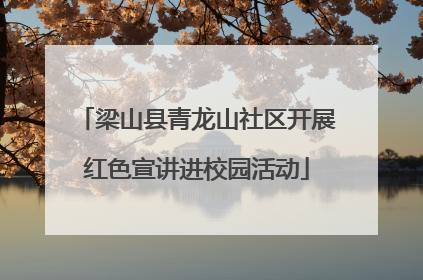 梁山县青龙山社区开展红色宣讲进校园活动