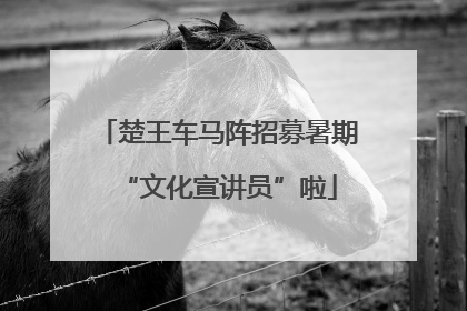 楚王车马阵招募暑期“文化宣讲员”啦
