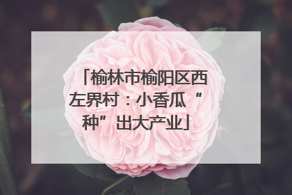 榆林市榆阳区西左界村：小香瓜“种”出大产业