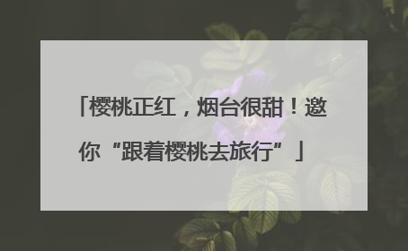 樱桃正红，烟台很甜！邀你“跟着樱桃去旅行”