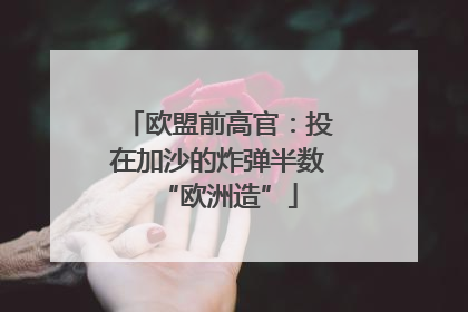 欧盟前高官：投在加沙的炸弹半数“欧洲造”