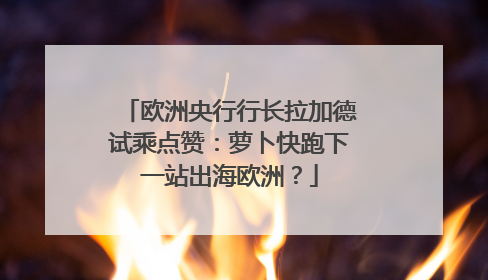 欧洲央行行长拉加德试乘点赞：萝卜快跑下一站出海欧洲？