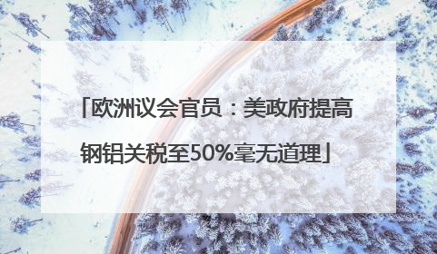 欧洲议会官员：美政府提高钢铝关税至50%毫无道理