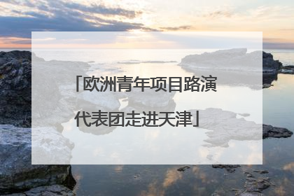 欧洲青年项目路演代表团走进天津