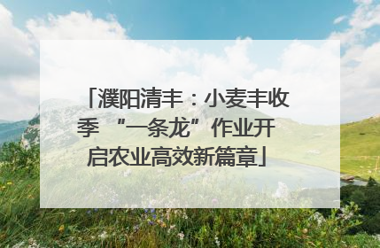 濮阳清丰：小麦丰收季 “一条龙”作业开启农业高效新篇章