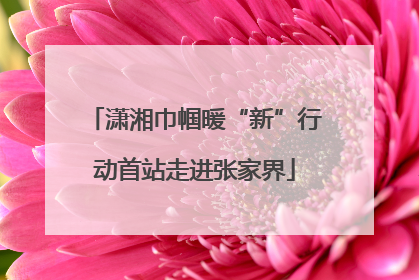 潇湘巾帼暖“新”行动首站走进张家界