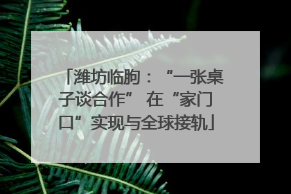 潍坊临朐：“一张桌子谈合作” 在“家门口”实现与全球接轨