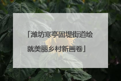 潍坊寒亭固堤街道绘就美丽乡村新画卷