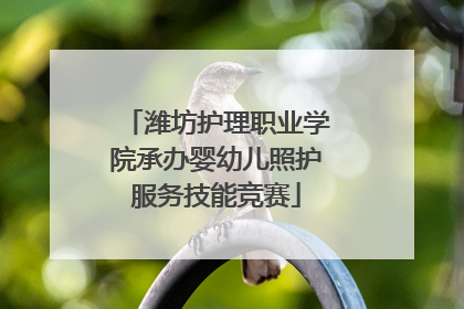 潍坊护理职业学院承办婴幼儿照护服务技能竞赛