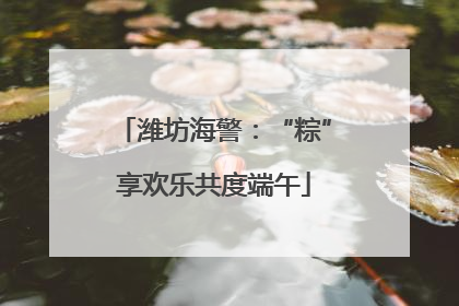 潍坊海警：“粽”享欢乐共度端午