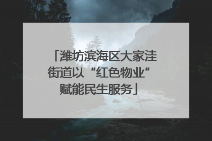 潍坊滨海区大家洼街道以“红色物业”赋能民生服务