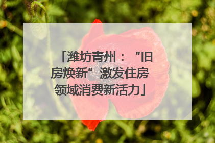 潍坊青州：“旧房焕新”激发住房领域消费新活力