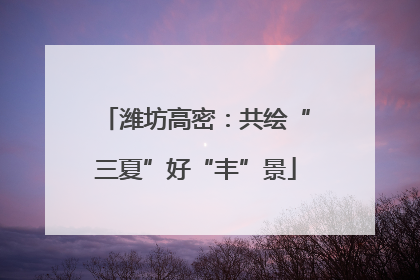 潍坊高密：共绘“三夏”好“丰”景
