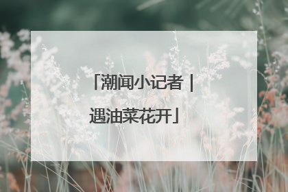 潮闻小记者｜遇油菜花开