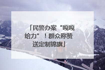 民警办案“嘎嘎给力”！群众称赞送定制锦旗
