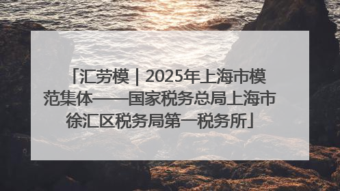 汇劳模｜2025年上海市模范集体——国家税务总局上海市徐汇区税务局第一税务所