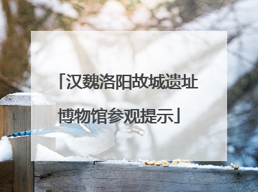 汉魏洛阳故城遗址博物馆参观提示