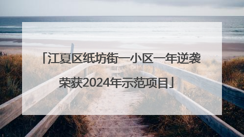 江夏区纸坊街一小区一年逆袭 荣获2024年示范项目