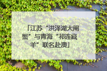江苏“洪泽湖大闸蟹”与青海“祁连藏羊”联名赴澳