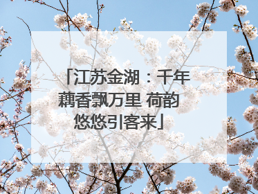江苏金湖：千年藕香飘万里 荷韵悠悠引客来