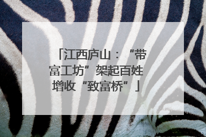 江西庐山：“带富工坊”架起百姓增收“致富桥”