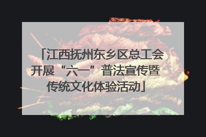 江西抚州东乡区总工会开展“六一”普法宣传暨传统文化体验活动