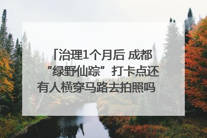 治理1个月后 成都“绿野仙踪”打卡点还有人横穿马路去拍照吗？｜民情瞭望